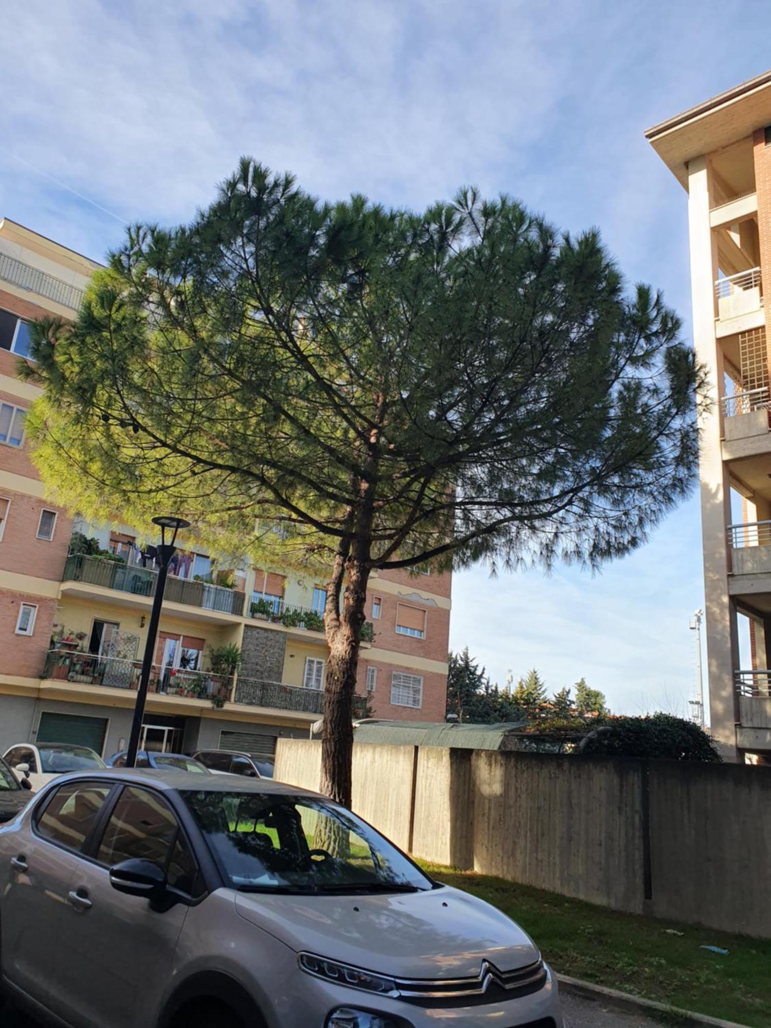 Appartamento Di Delfina Pescara Zewnętrze zdjęcie